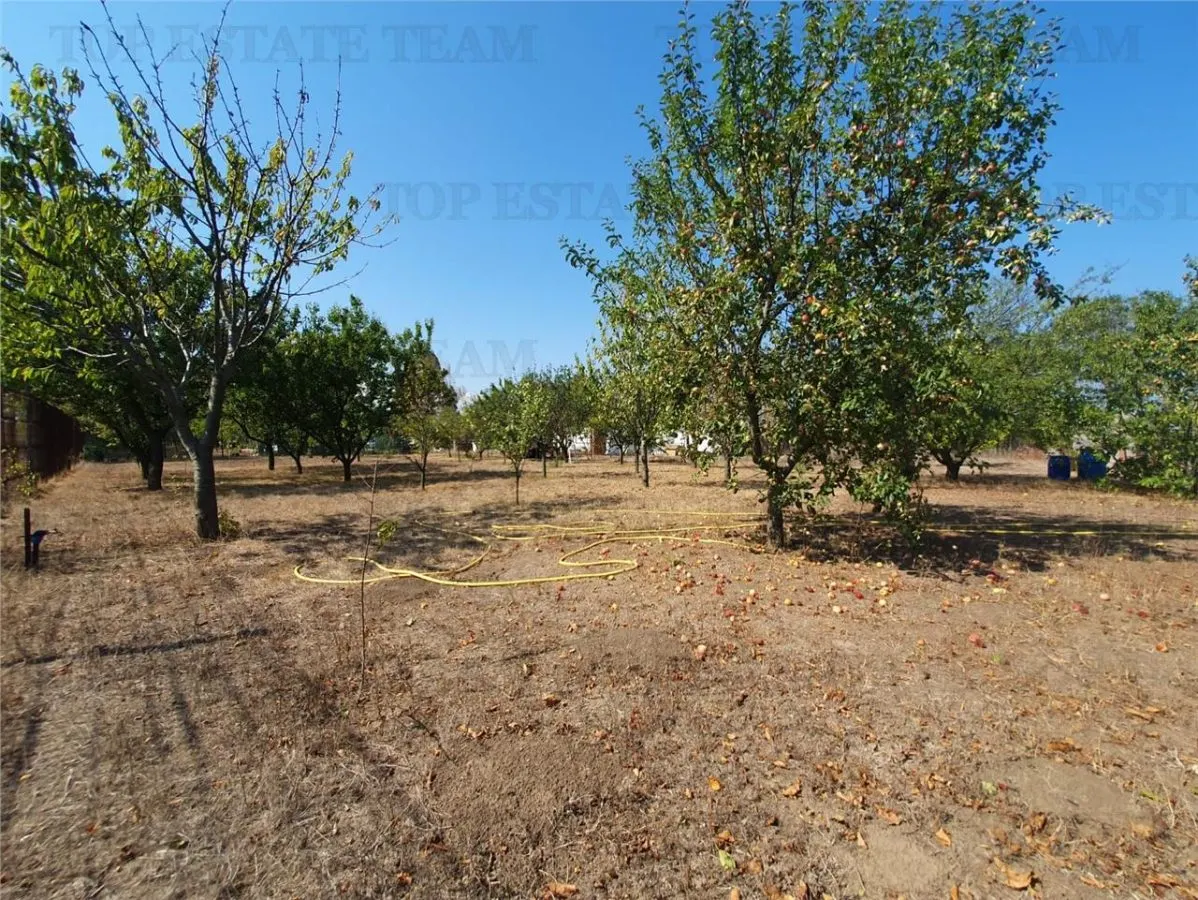 Agricultural and Building Land Plot 2 Parcel A326/49, Agigea - foto 9