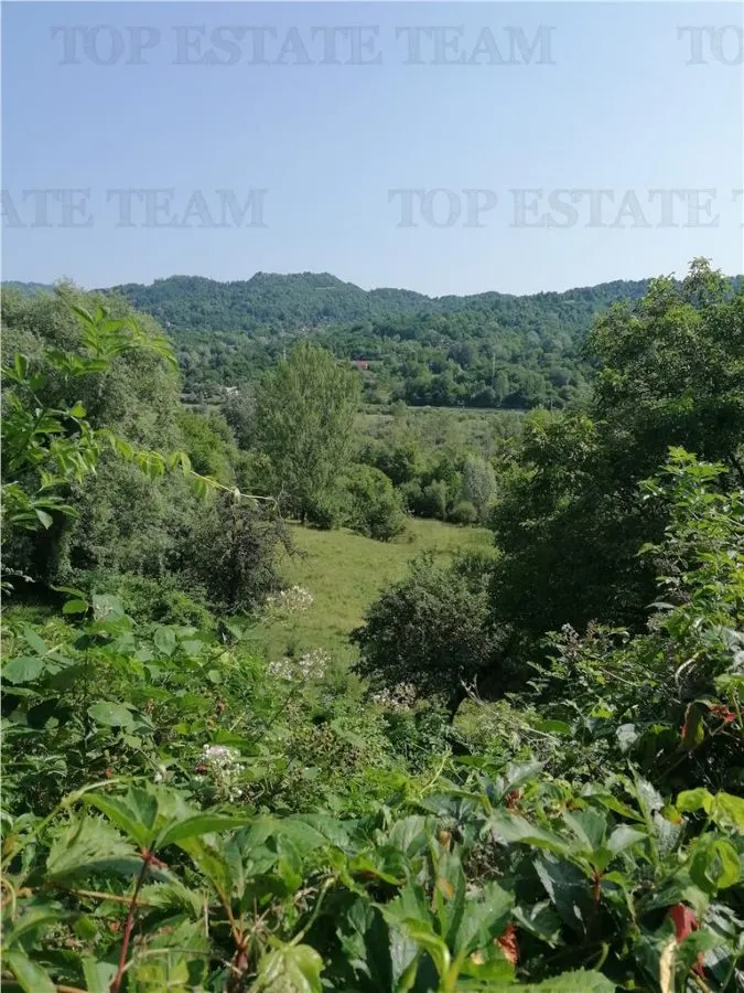 11,230 m² Land with Manor House – Requires Renovation - foto 2
