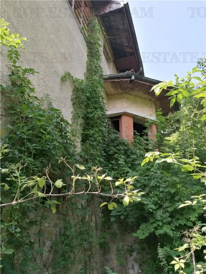 11,230 m² Land with Manor House – Requires Renovation - foto 5