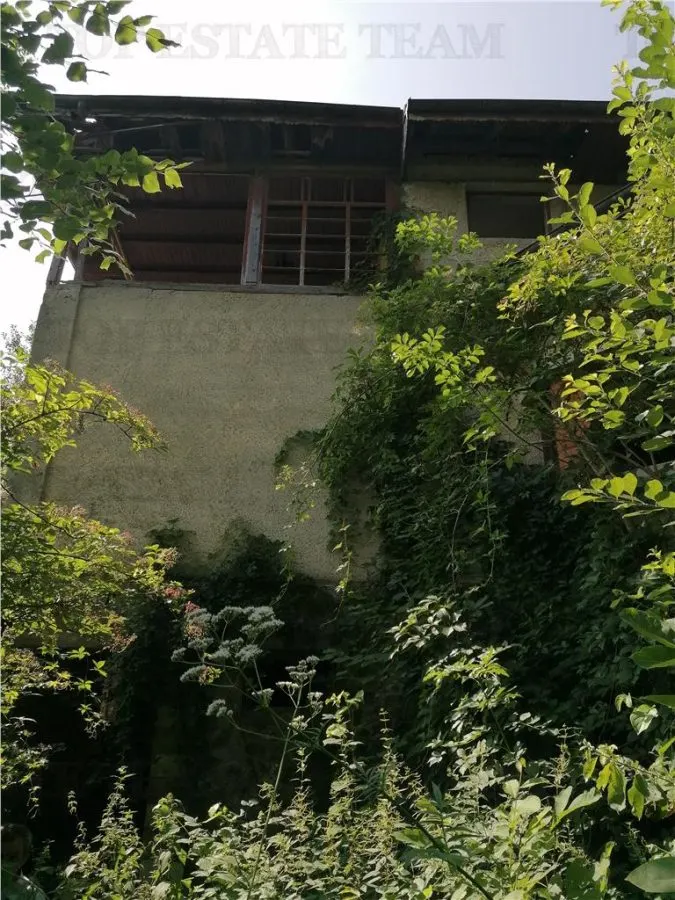 11,230 m² Land with Manor House – Requires Renovation - foto 6