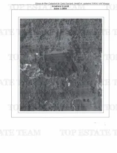 11,230 m² Land with Manor House – Requires Renovation - foto 8
