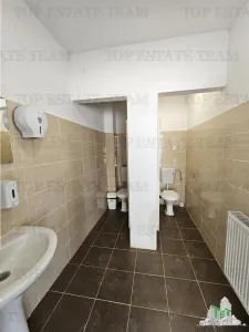 Villa Suitable for Commercial Space/Event Venue in Bragadiru with 5 Parking Spaces - foto 7