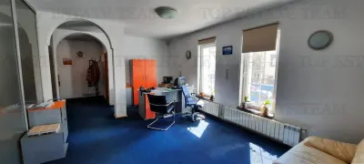 Office/Legal Practice Villa for Sale, Domenii, Premium North Location - Bucuresti