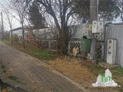 Land with Commercial Space & Villa Plot, 216m² + 870m² – Chitila - foto 5