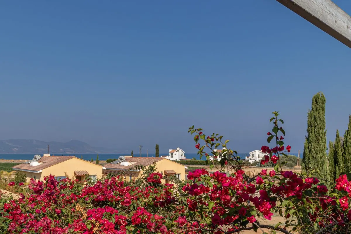 Apartment for Sale in Paphos, Cyprus - foto 7