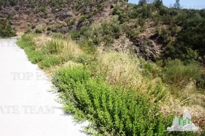 Building Land for Sale in Budva, Montenegro - foto 4