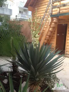Hotel for Sale in Budva, Montenegro - foto 9