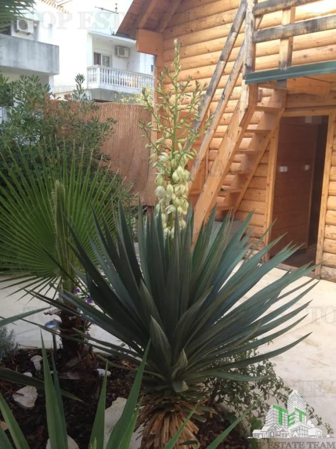 Hotel for Sale in Budva, Montenegro - foto 9