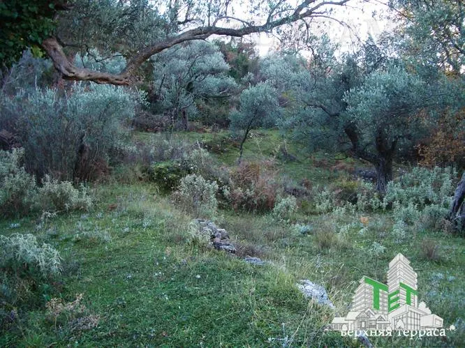 Building Plot for Sale in Bar, Montenegro - foto 3