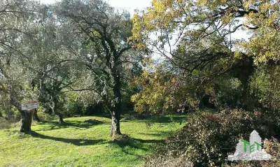 Building Land for Sale in Tivat, Montenegro - Tivat