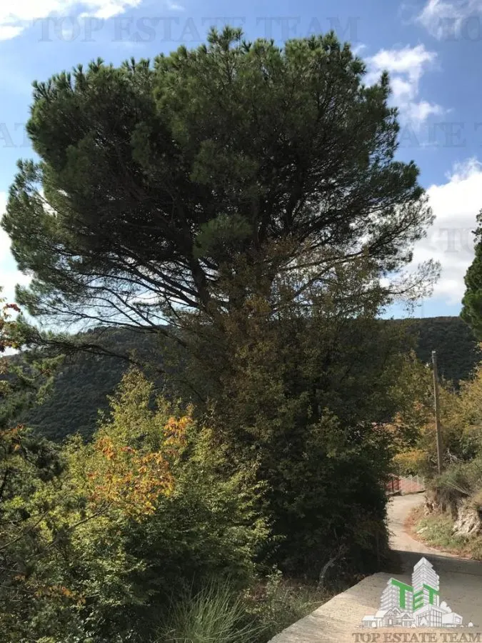 Building Plot for Sale in Budva, Montenegro - foto 6