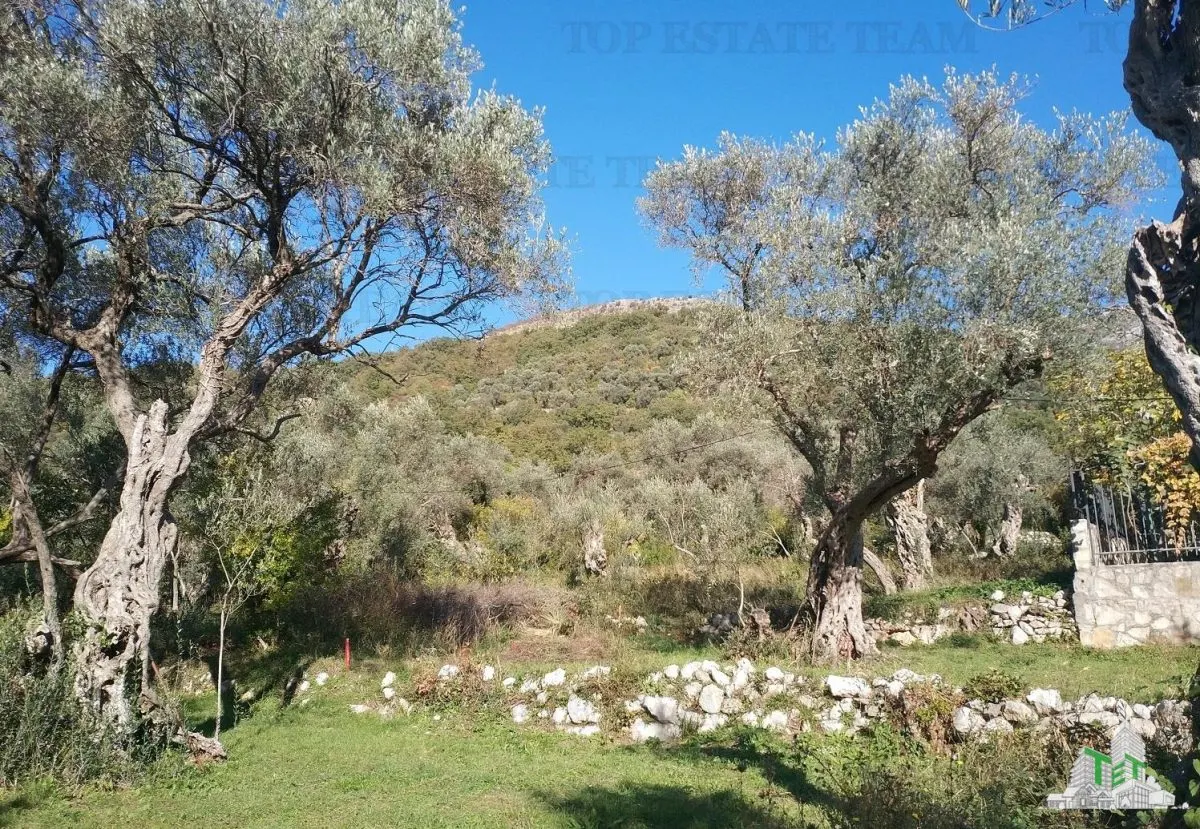 Building Plot for Sale in Budva, Montenegro - foto 1